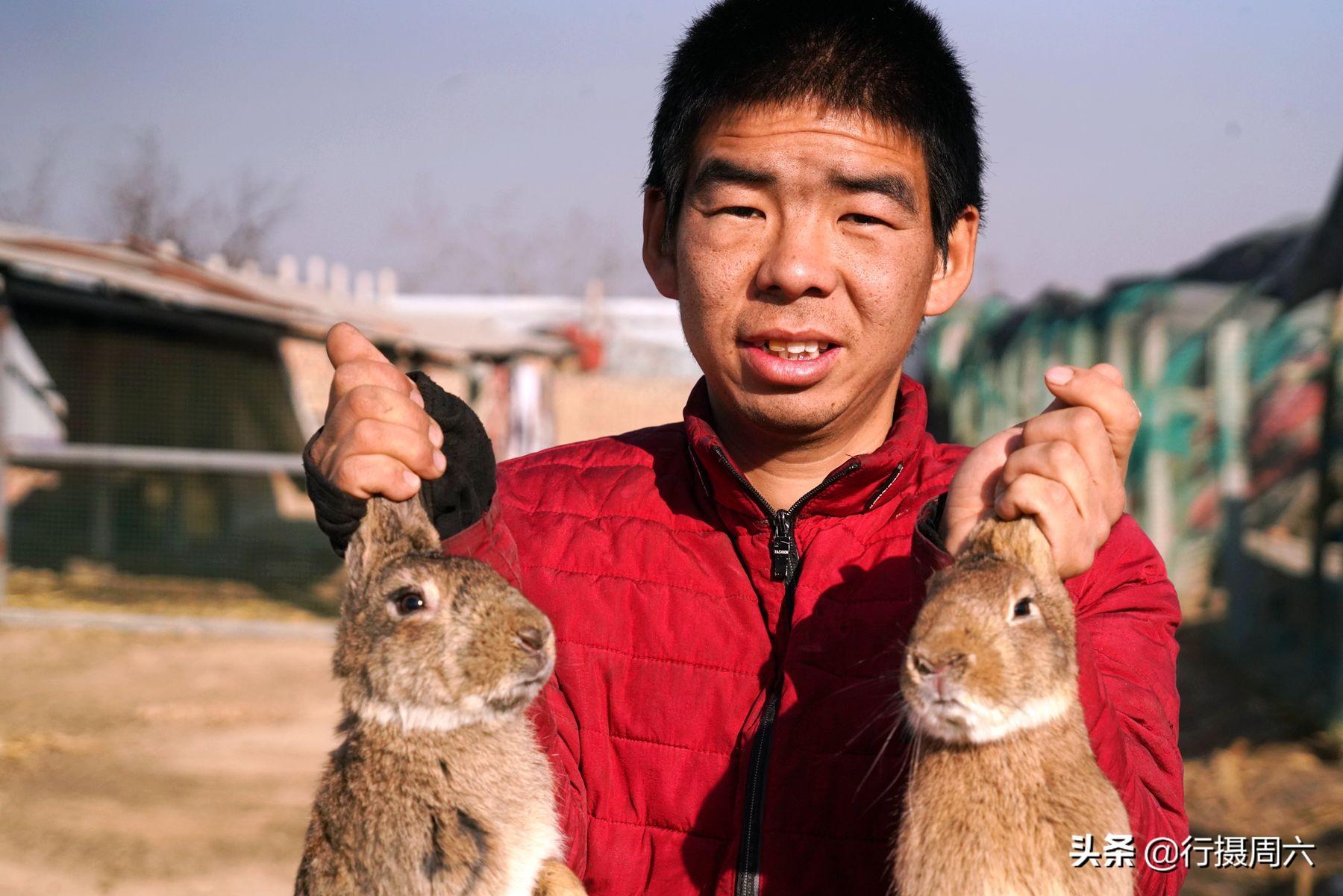 养100只兔子一年能赚大概多少钱（养50只兔子一年赚多少）
