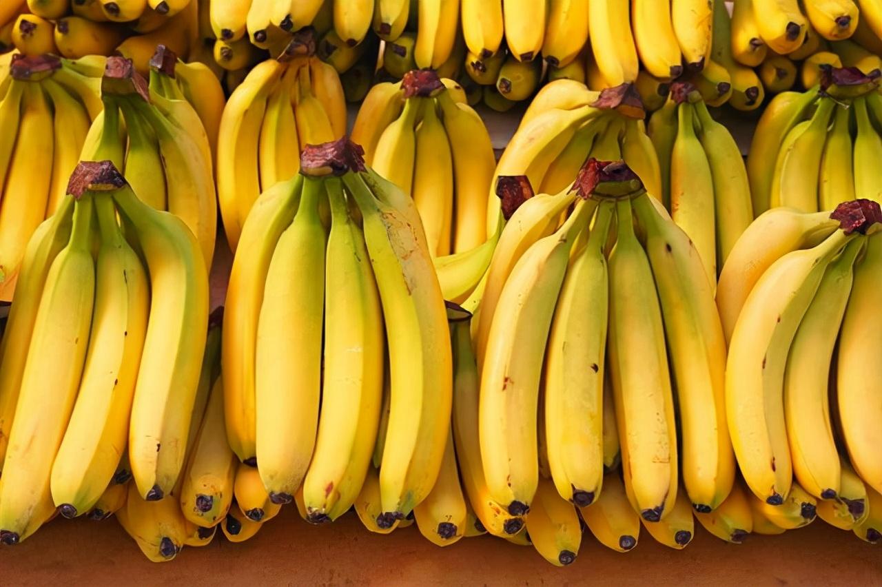 香蕉为什么都是弯的（香蕉为什么都是弯曲的）