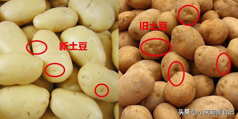 新土豆和老土豆区别（新土豆和老土豆区别图片）