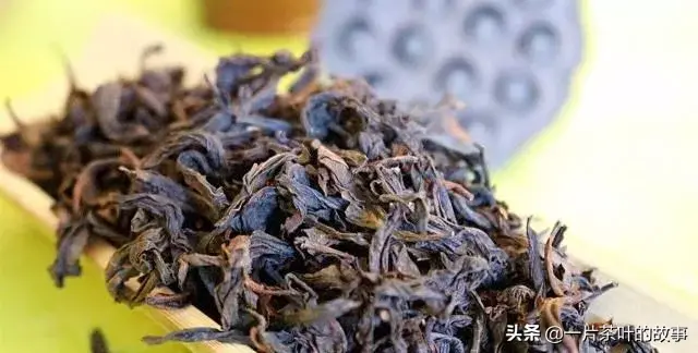 中国最贵茶叶排名价格表（中国最贵茶叶排名价格表~茶树苗搜索）