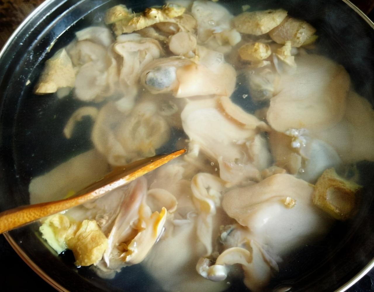 河蚌的烹饪方法（河蚌的烹饪方法视频）