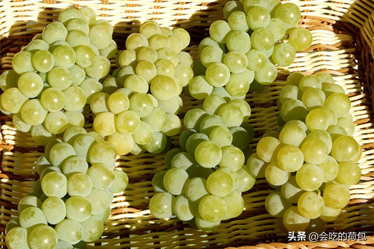 中国十大葡萄品种（中国最有名的葡萄品种）