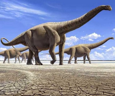 组图：地球上30大最熟悉的恐龙排行榜，霸王龙人人都认识