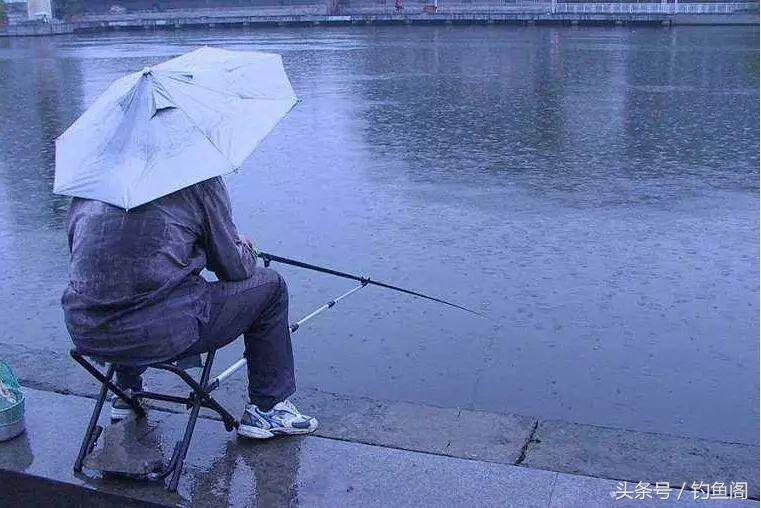 下大雨好钓鱼吗（下雨天如何钓鱼容易上钩）
