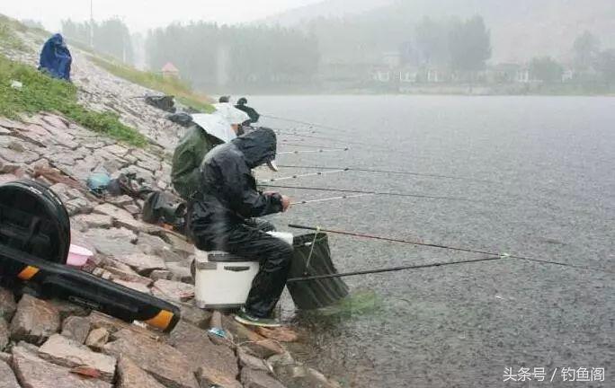 下大雨好钓鱼吗（下雨天如何钓鱼容易上钩）