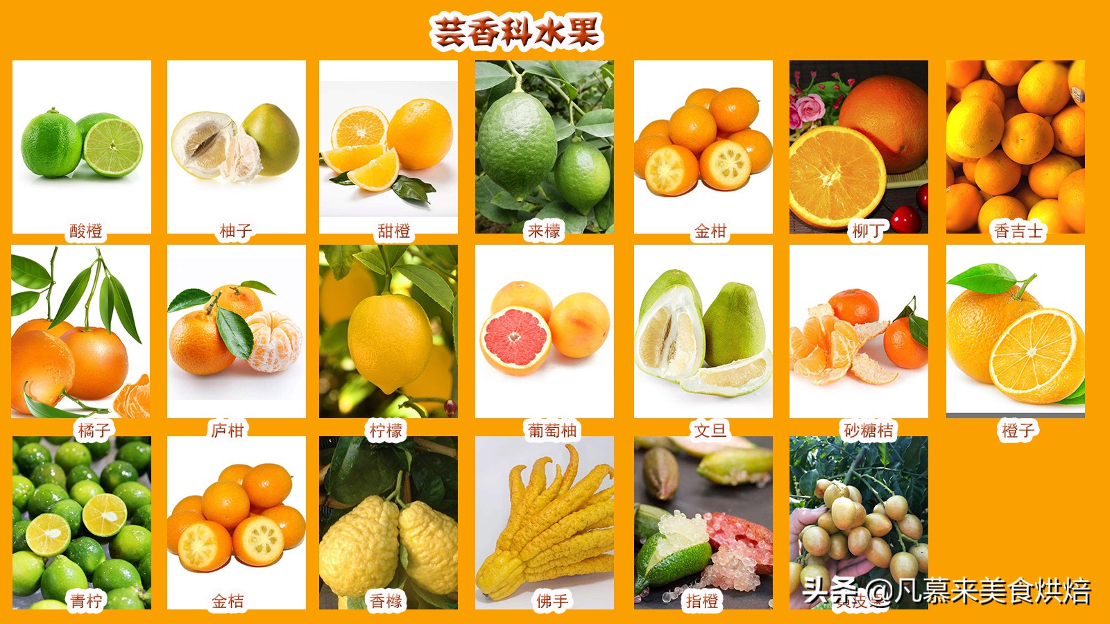 水果有哪些品种（黄色水果有哪些品种）
