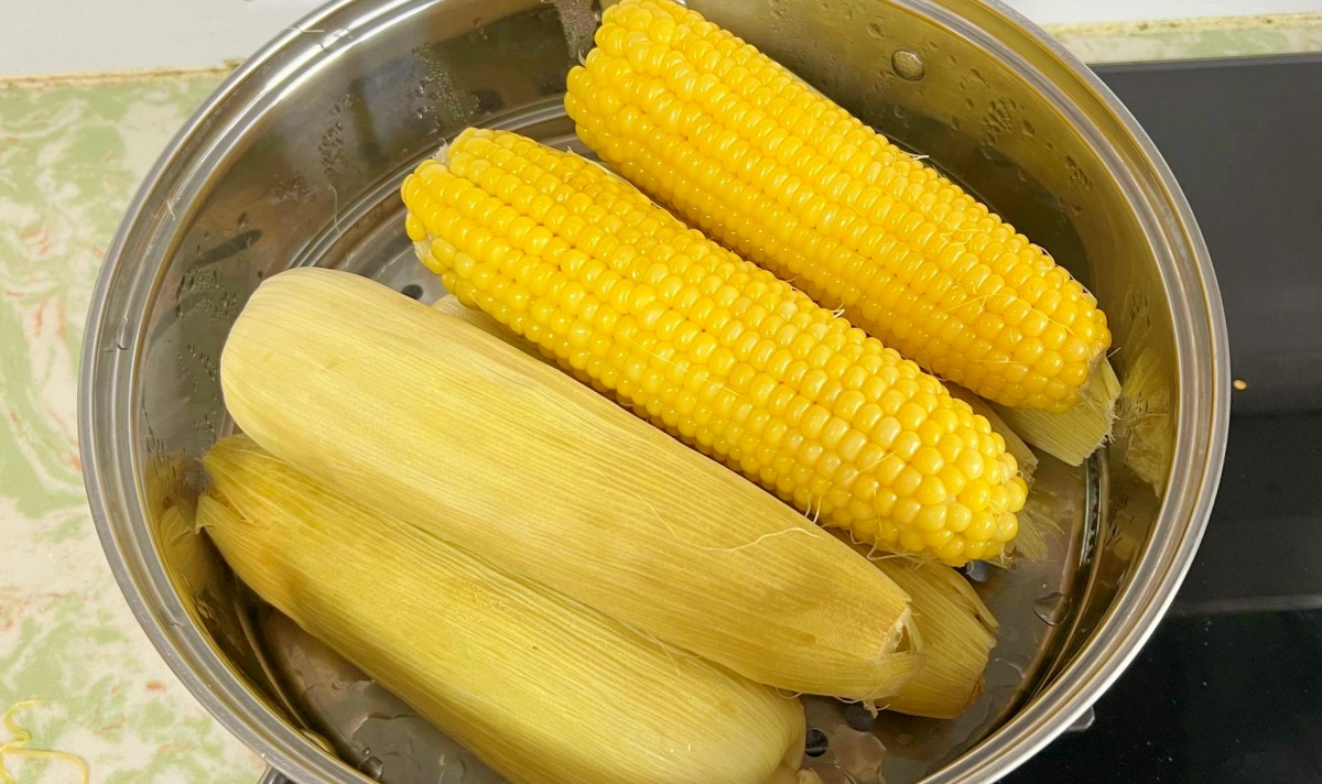 蒸玉米一般需要多少长时间（煮玉米一般需要多少长时间）