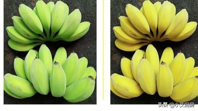 苹果蕉和小米蕉有什么区别（苹果蕉和小米蕉哪个好吃）