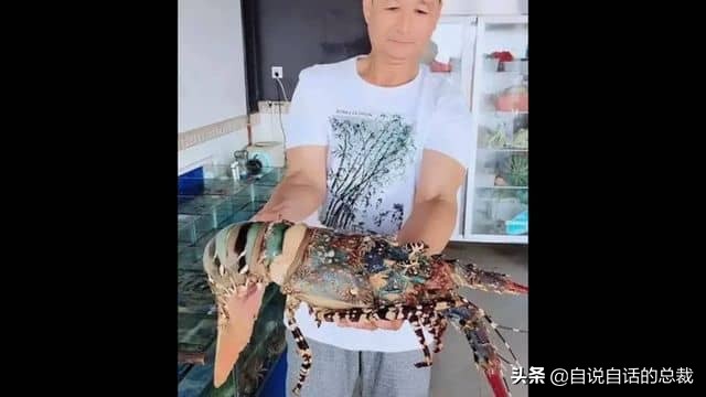 龙虾吃什么东西（龙虾爱吃的10种食物）