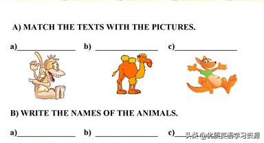 animals英语怎么读（animals英语怎么读音发音）