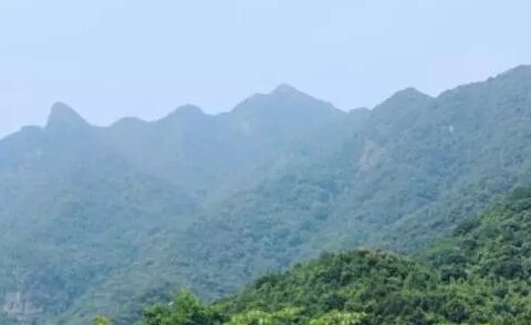 广州海拔是多少（广州海拔多少米高平均）