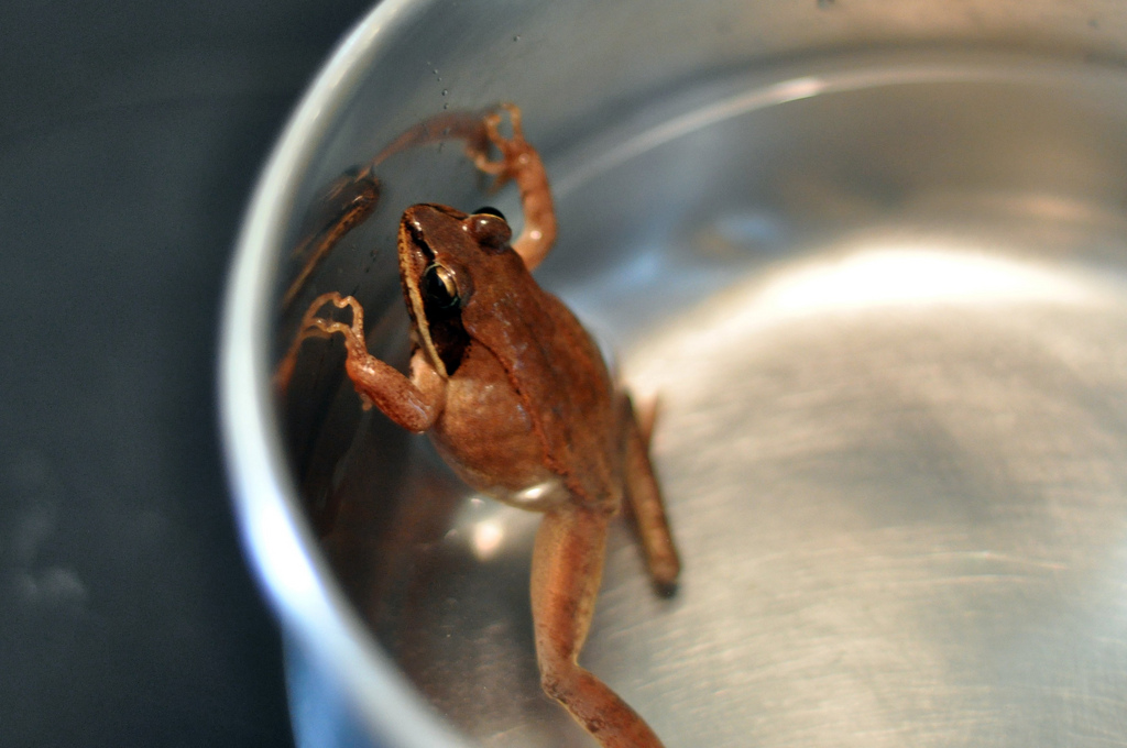 温水煮青蛙的通俗意思