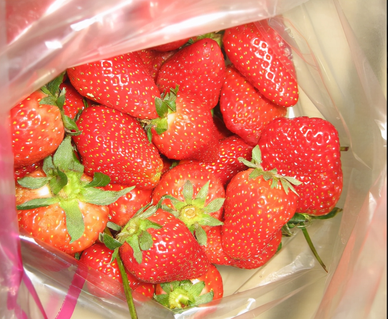 草莓不放冰箱可以放多久（草莓不放冰箱要盖保鲜膜吗）