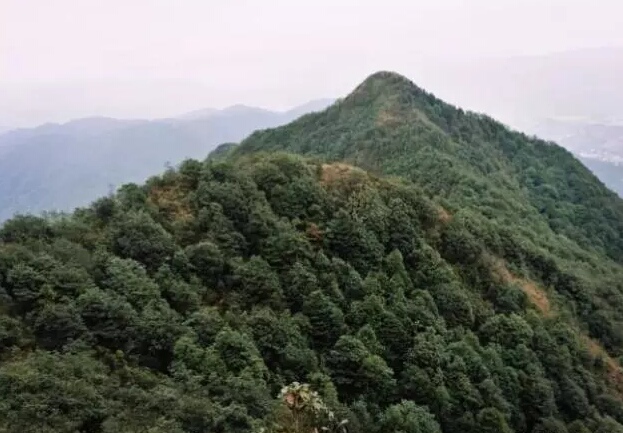 广州海拔是多少（广州海拔多少米高平均）