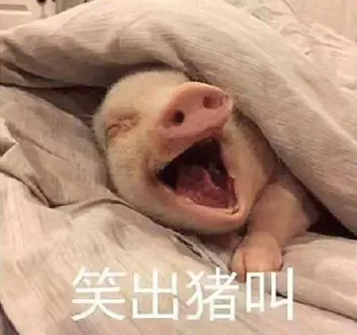 笑出猪叫是什么（笑出猪叫是什么原因）