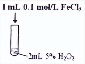 浓硫酸和碳反应的化学方程式（浓硫酸与碳反应是什么性质）
