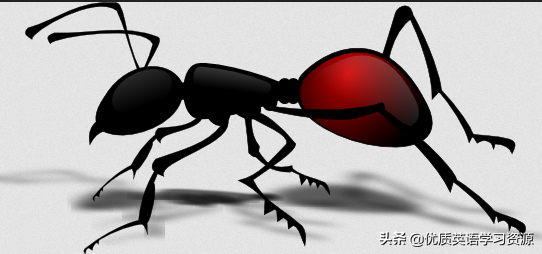insects怎么读（insects怎么读英语单词）
