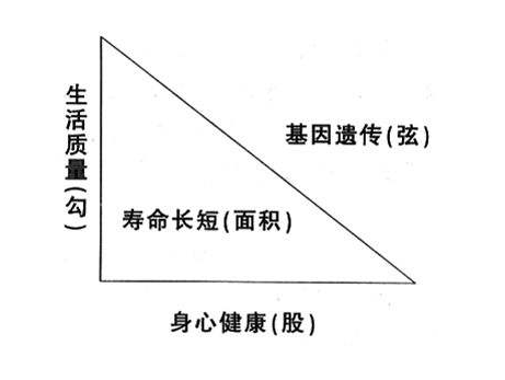 三角形有几个顶点（三角形有几个顶点几条边几条高）