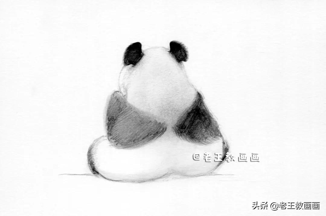 熊猫怎么画漂亮又简单（熊猫怎么画漂亮又简单又可爱吃竹子）