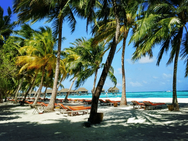马尔代夫卡尼岛（马尔代夫卡尼岛在哪个地区）