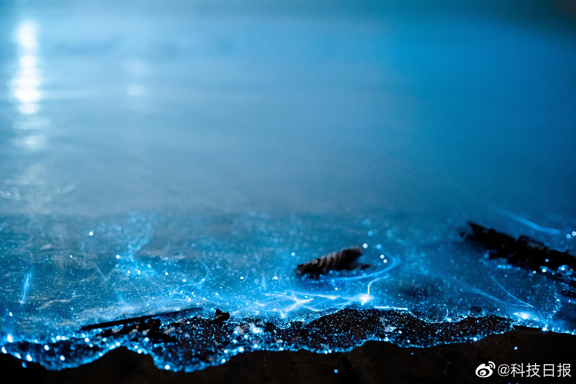 为什么海水是蓝色的（水是透明的为什么海水是蓝色的）