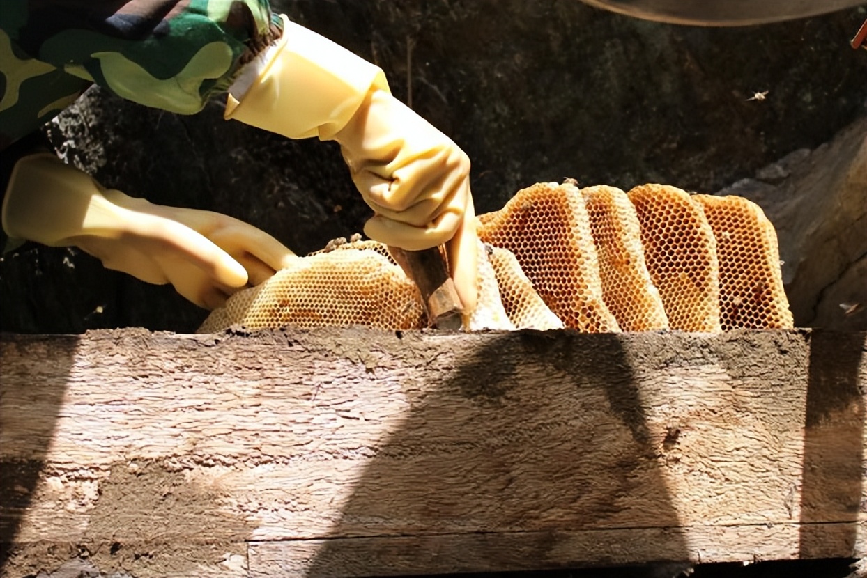 假蜂蜜是怎么做出来的（假蜂蜜怎么做的,有毒吗）