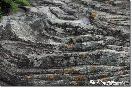 花岗岩是由哪三种矿物组成的（花岗岩是由哪三种矿物组成的,硬度最小的是）