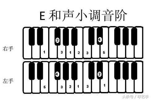 弹钢琴的指法（弹钢琴的指法入门教程视频）