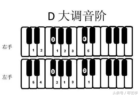 弹钢琴的指法（弹钢琴的指法入门教程视频）