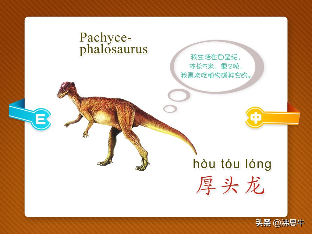 恐龙有多少种类（恐龙有多少种类及名称以及灭绝时间）