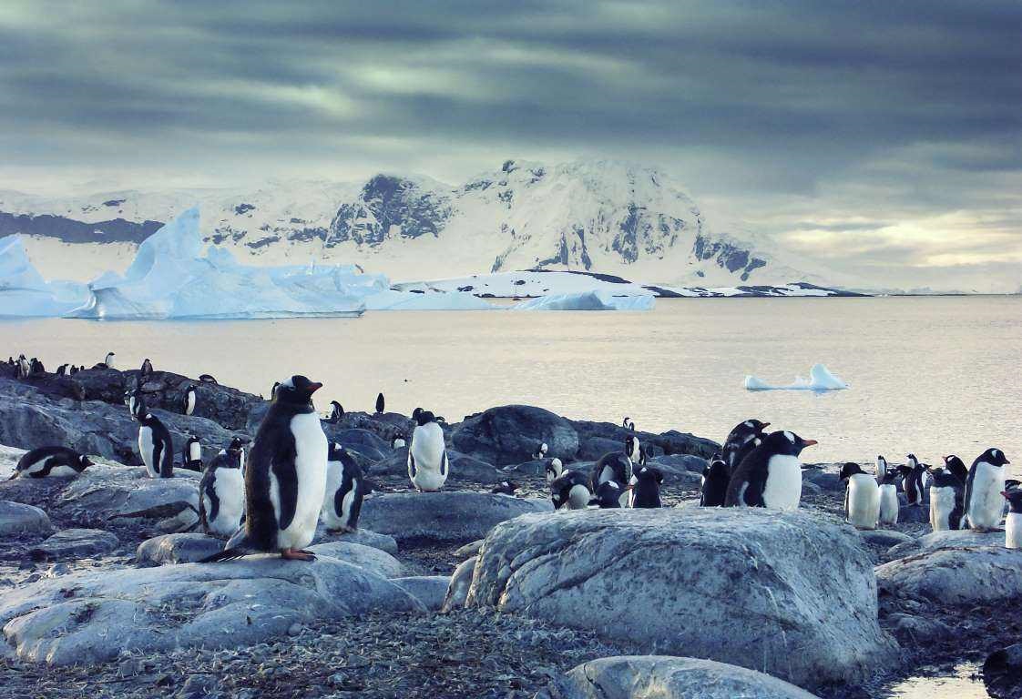 南极洲的气候特点（南极洲的气候特点为）