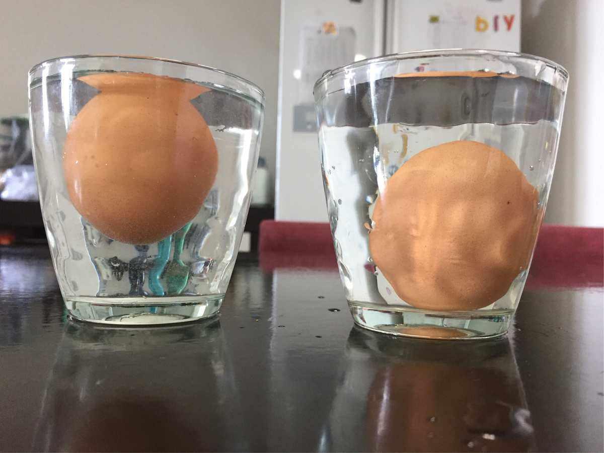 鸡蛋为什么会在盐水中浮起来（鸡蛋为什么会在盐水中浮起来20字）