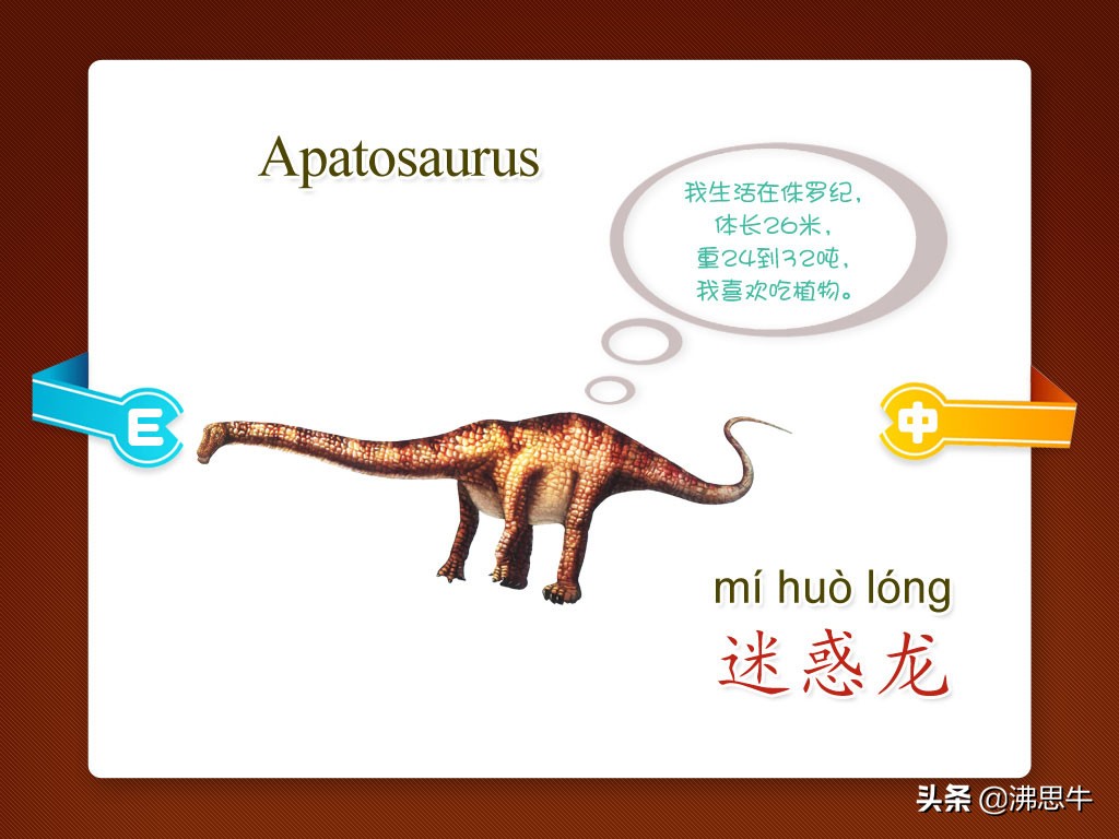 恐龙有多少种类（恐龙有多少种类及名称以及灭绝时间）