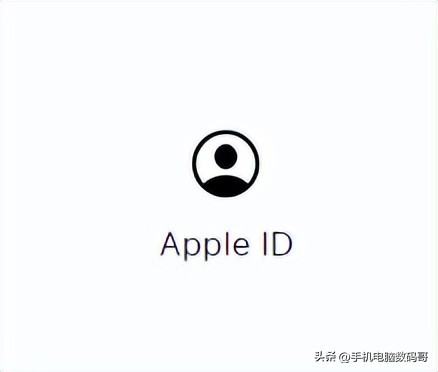 苹果手机id密码在哪里看（苹果手机id密码在哪里查看）